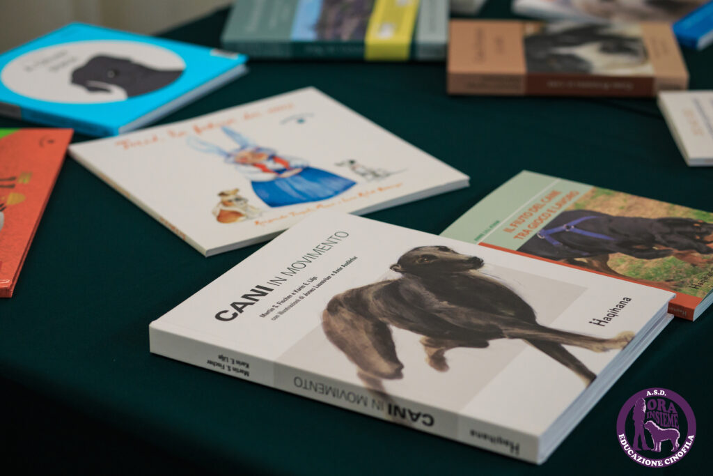 13112021 img 9782 mod