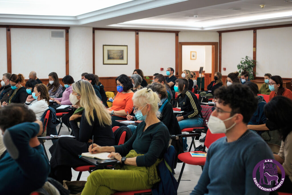 13112021 img 9810 mod