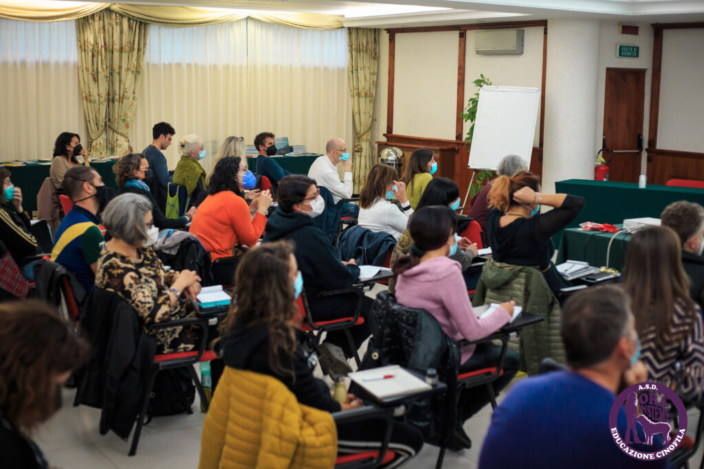 13112021 img 9849 mod