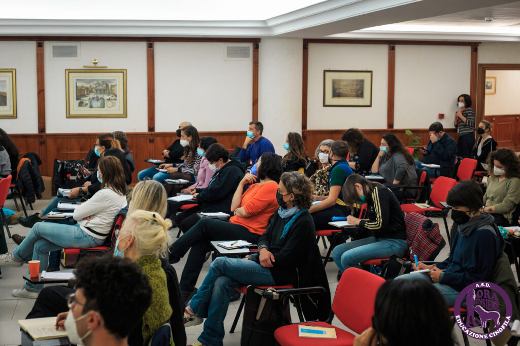 13112021 img 9856 mod