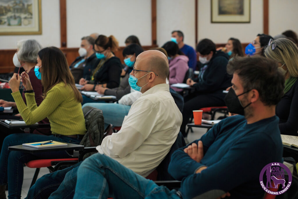 13112021 img 9893 mod