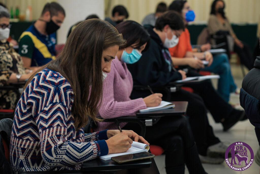 13112021 img 9895 mod