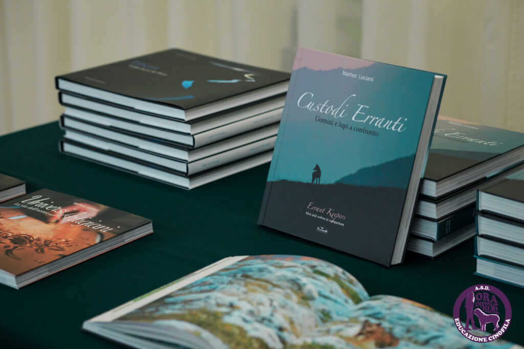 13112021 img 9898 mod