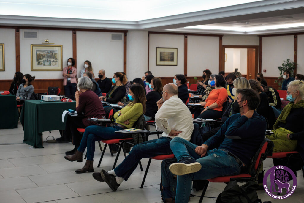 13112021 img 9922 mod