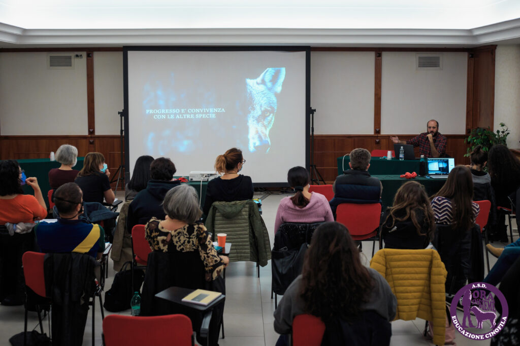 13112021 img 9942 mod