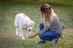 464688966 10232715075875204 5140302774358801836 N 300x196