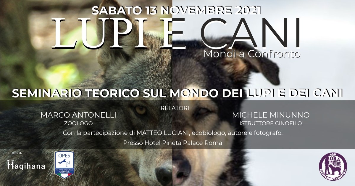 472863032 1380777916594216 1441978078724043038 n