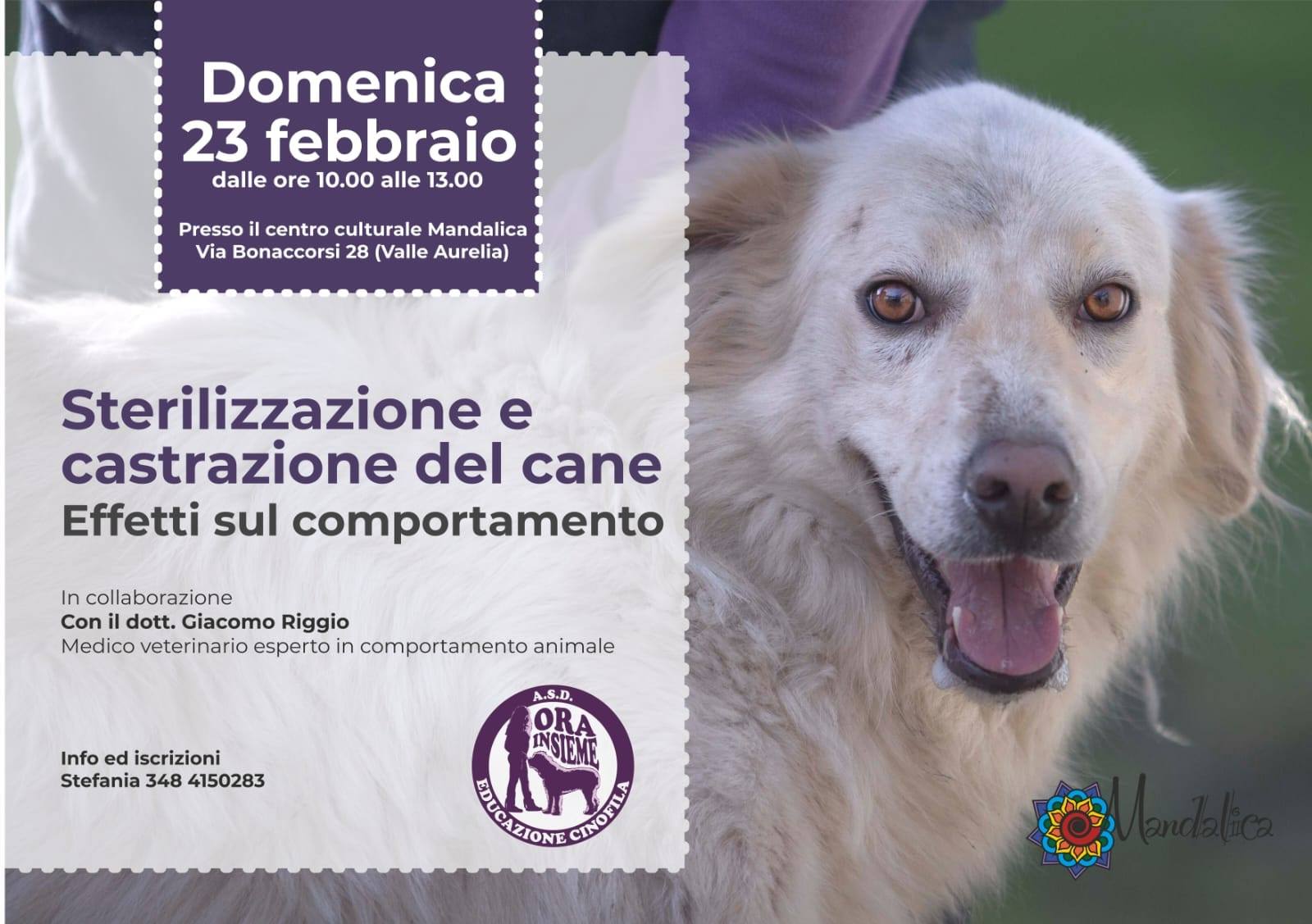 84573634 2168774136558292 1027313334904422400 n