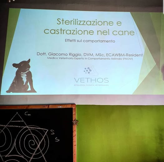 85225892 2534738956785023 7396746398898585600 n