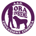 logo orainsieme