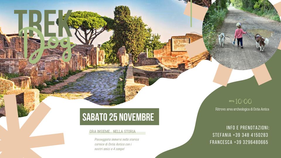 487443197 1451041439567863 824439743069577381 N