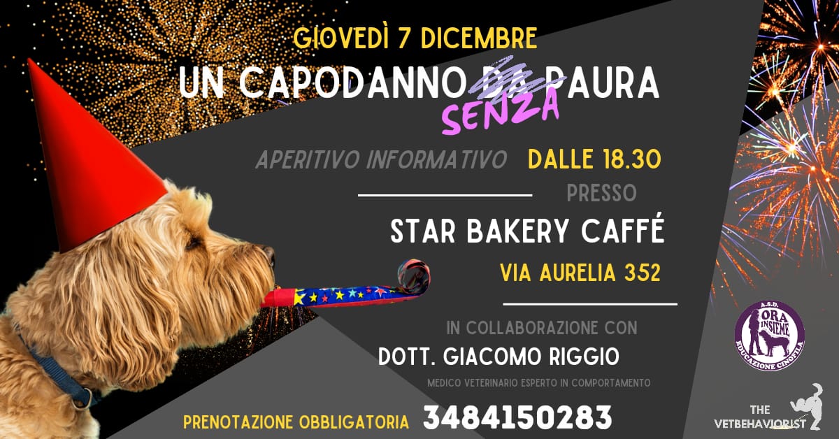 Capodanno senza paura per i nostri amici a 4 zampe