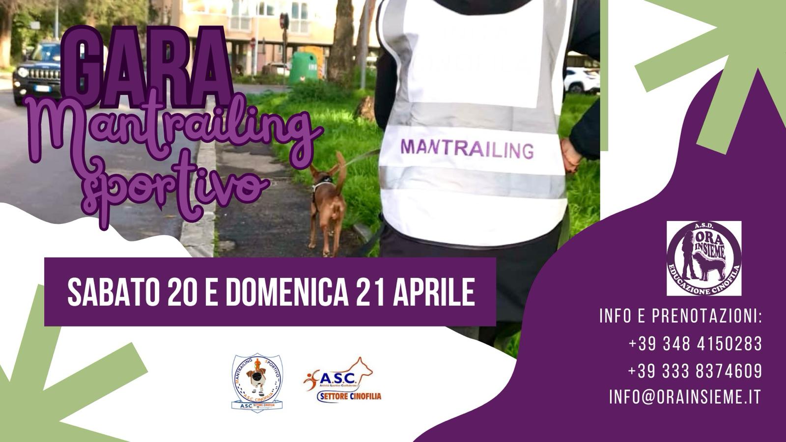 Gara mantrailing sportivo