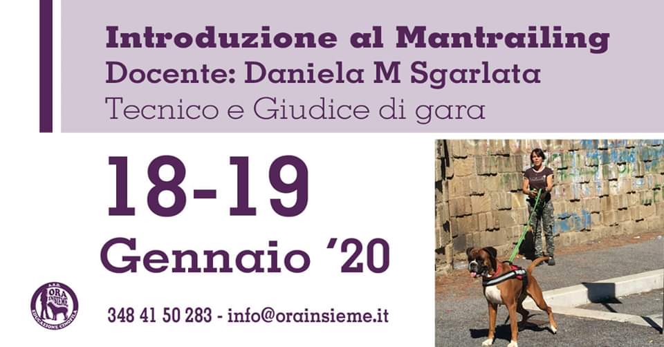 80420248 2069928089776231 6965395458902458368 N