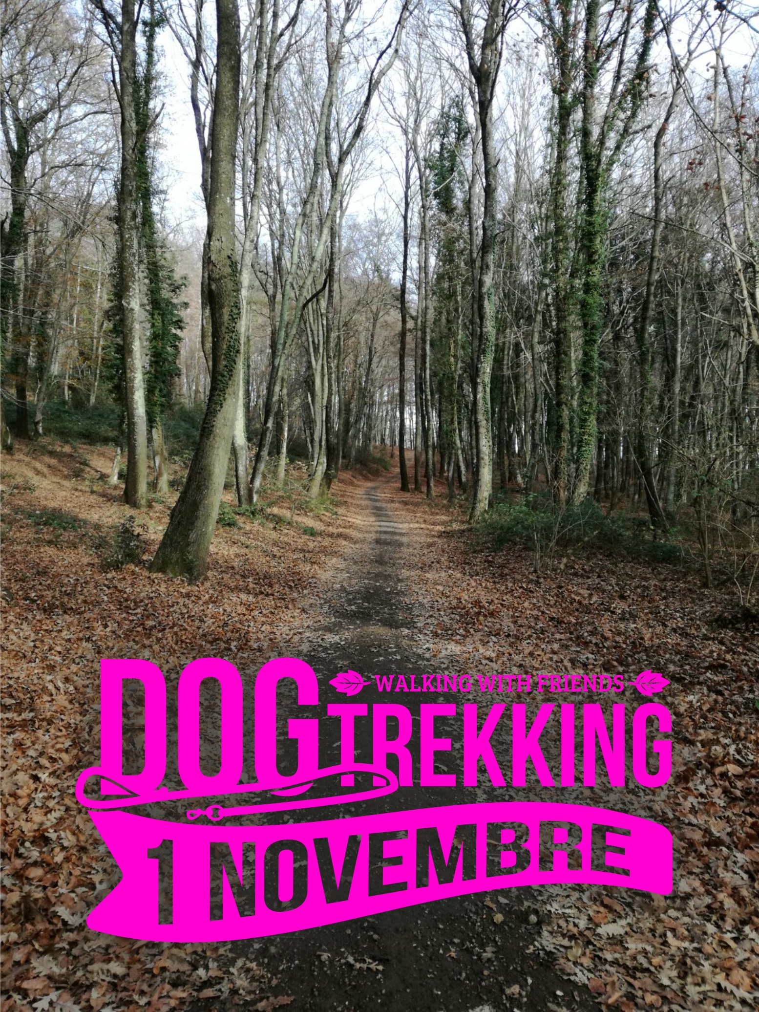 dog trekking (1)